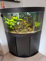 Aquarium juwel trigon 190, Dieren en Toebehoren, Vissen | Aquaria en Toebehoren, Ophalen, Gevuld zoetwateraquarium