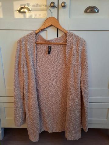 Poederroze Leuk Roze Lang Vest Maat XS beschikbaar voor biedingen