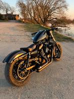 Harley Davidson Iron 883 2018, Motoren, Motoren | Harley-Davidson, 2 cilinders, Chopper, 883 cc, Particulier