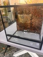 Terrarium met strakke vormgeving!, Dieren en Toebehoren, Reptielen en Amfibieën | Toebehoren, Ophalen, Gebruikt, Terrarium of Paludarium