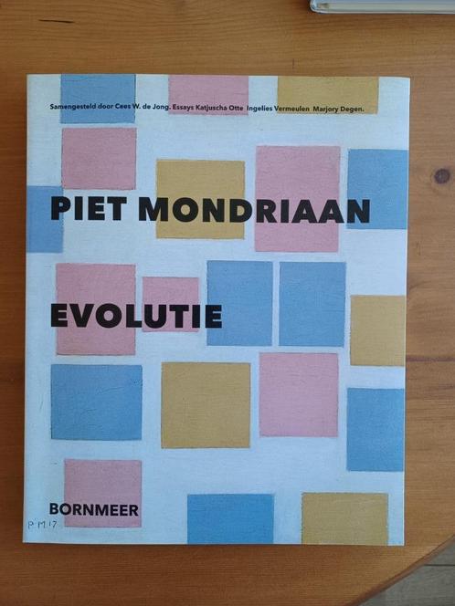 Piet Mondriaan - Evolutie, Boeken, Kunst en Cultuur | Beeldend, Gelezen, Schilder- en Tekenkunst, Ophalen of Verzenden
