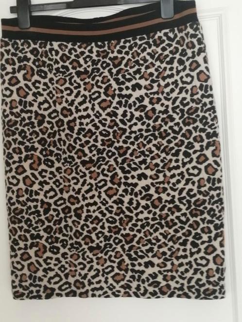 Kan zeggen NIEUW rokje van JOSEPHINE &CO 119.95 NU 19.00, Kleding | Dames, Rokken, Zo goed als nieuw, Knielengte, Ophalen of Verzenden