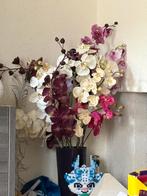Heel veel Orchideeën takken, Ophalen of Verzenden, Zo goed als nieuw