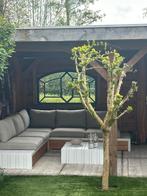 Tuinbank.  Hoekbank tuinset Loungebank, Ophalen, Zo goed als nieuw, Metaal
