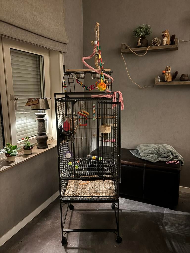 Papegaaienkooi, Ophalen, Gebruikt, Metaal, Vogelkooi