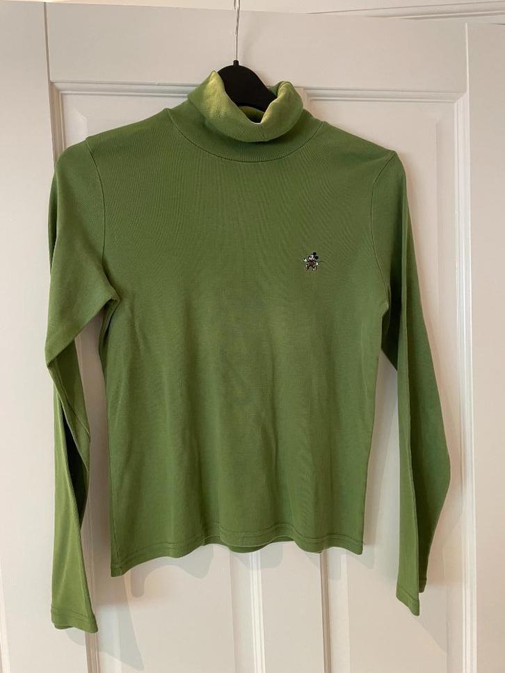 Coltrui groen maat L Donaldson, Kleding | Dames, Truien en Vesten, Zo goed als nieuw, Maat 42/44 (L), Groen, Ophalen