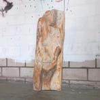 WEGENS VERHUIZING ½e PRIJS: 40KG Versteend Hout Sculptuur, Verzamelen, Mineralen en Fossielen, Ophalen