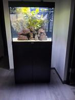 JUWEL LIDO 200 MET SUPERFISH LEDVERLICHTING, Ophalen, Gebruikt, Leeg aquarium