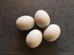 Namaak eenden eieren per drie of vier stuks €2,50 p. st., Ophalen of Verzenden, Nieuw