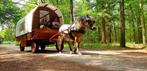 Huifkar - huifwagen, Dieren en Toebehoren, Rijtuigen en Koetsen