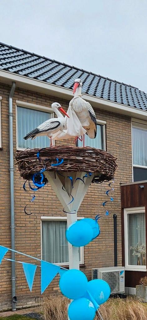 Geboorte ooievaar 3D op een echt nest, Kinderen en Baby's, Kraamcadeaus en Geboorteborden, Nieuw, Ophalen