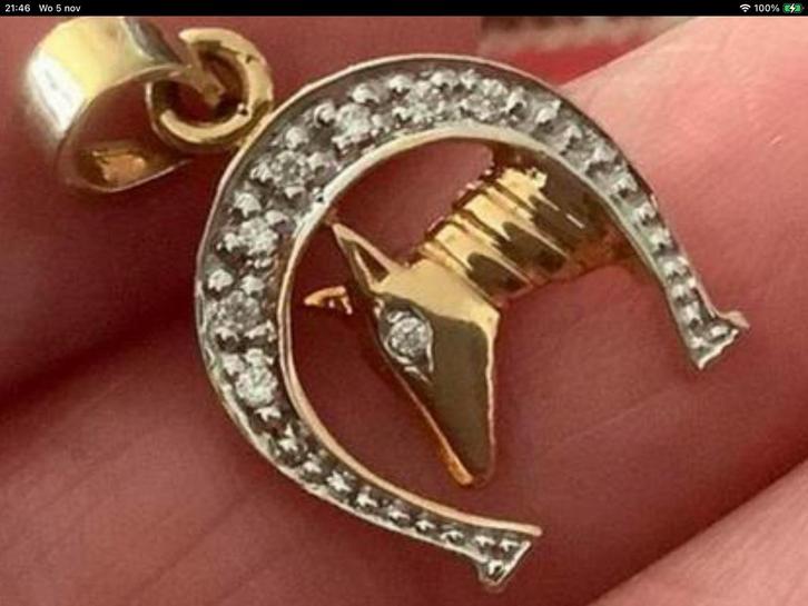 Nieuw gouden Kettinghanger hoefijzer 8 Diamanten, 18 k 750, Sieraden, Tassen en Uiterlijk, Kettinghangers, Nieuw, Goud, Goud, Dier