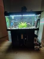 Aquarium 180 liter met helialux LED, Dieren en Toebehoren, Vissen | Aquaria en Toebehoren, Ophalen, Gevuld zoetwateraquarium