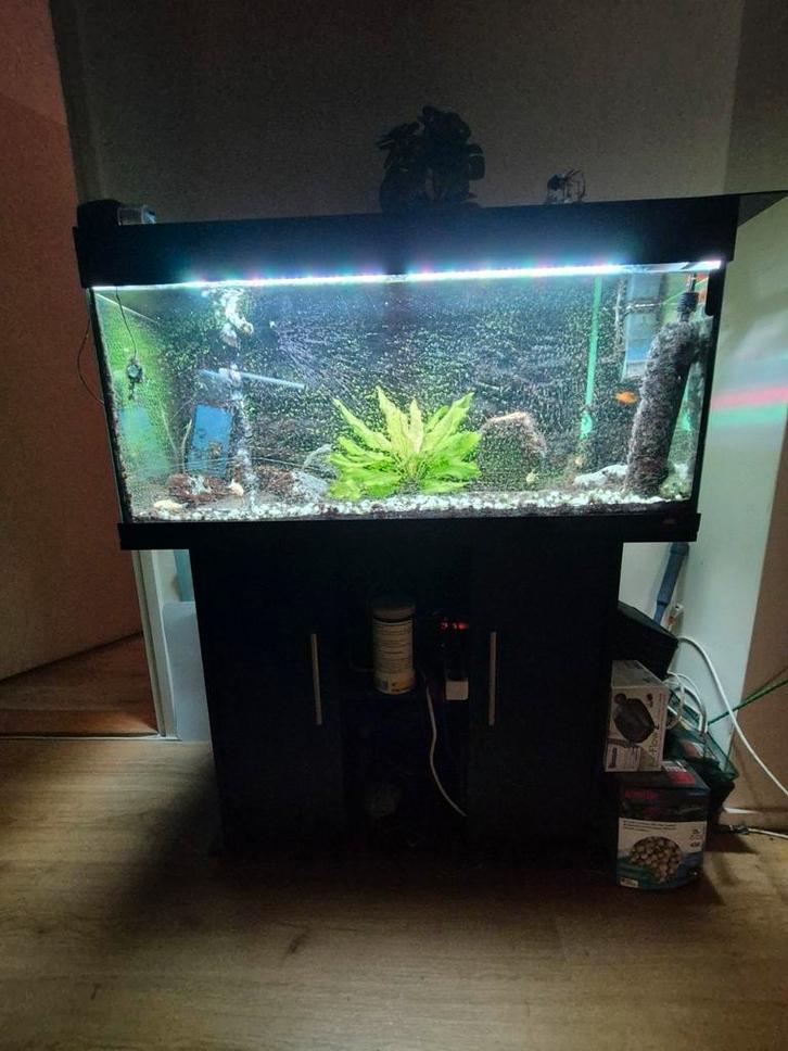 Aquarium 180 liter met helialux LED, Dieren en Toebehoren, Vissen | Aquaria en Toebehoren, Gevuld zoetwateraquarium, Ophalen