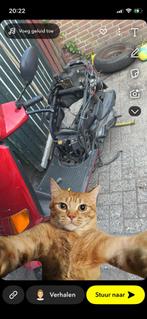 Scooter Gezocht - Loop/Sloop - Direct Vrijwaring, Ophalen of Verzenden, Gebruikt, Overige typen, Overige merken