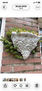 Bloembak beton druiventros, Tuin en Terras, Bloembakken en Plantenbakken, Ophalen, Gebruikt, Minder dan 60 cm, Overige vormen