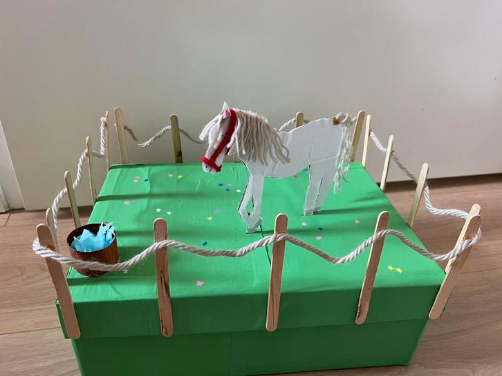 Sinterklaassurprise paard van sinterklaas in de wei!, Diversen, Sinterklaas, Nieuw, Ophalen of Verzenden