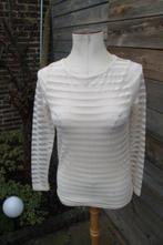 Tuniek beige Gustav mt XS transparant Vaste prijs AANBIEDING, Kleding | Dames, Blouses en Tunieken, Beige, Gustav, Ophalen of Verzenden