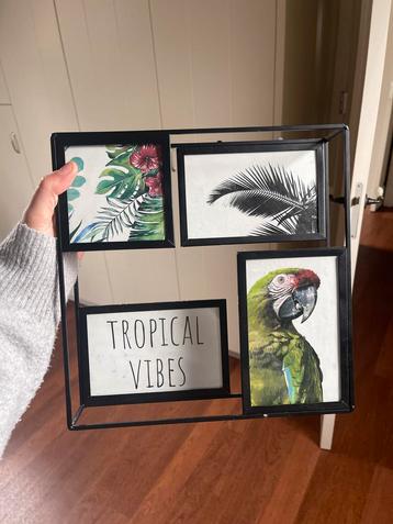 Moderne fotolijst voor 4 foto's beschikbaar voor biedingen