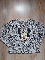 Zgan Minnie Mouse shirt met lange mouwen van Zara maat 152, Meisje, Ophalen of Verzenden, Zo goed als nieuw, Zara