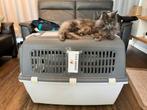 Reiskennel, Dieren en Toebehoren, Ophalen, Zo goed als nieuw