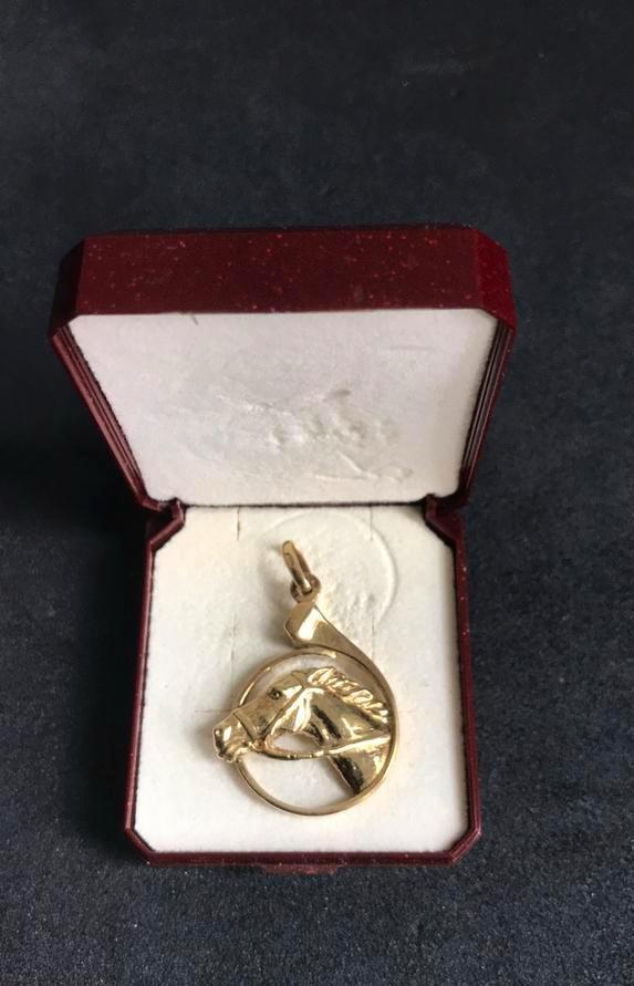 Paarden hoofd ketting hanger 14 karaats goud 585 gekeurd, Sieraden, Tassen en Uiterlijk, Kettinghangers, Zo goed als nieuw, Goud
