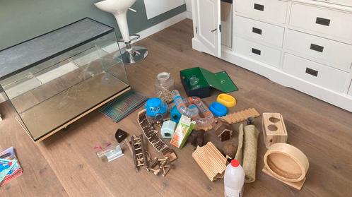 Klein knaagdieren hok gerbilarium incl. Toebehoren, Dieren en Toebehoren, Knaagdieren en Konijnen | Hokken en Kooien, Zo goed als nieuw