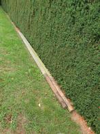 twee palen 5mtr lang rond 100, Ophalen, Zo goed als nieuw, 250 cm of meer, Palen