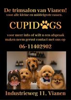 Trimsalon Cupidogs, Dieren en Toebehoren, Honden-accessoires, Ophalen, Nieuw