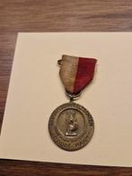 Medaille nr 187 Brandweer Wandeltochten Roode Haan Den Haag, Postzegels en Munten, Penningen en Medailles, Verzenden
