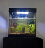 Complete aquarium met verlichting 30L, Ophalen, Zo goed als nieuw, Overige typen