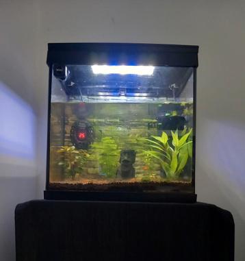 Complete aquarium met verlichting 30L beschikbaar voor biedingen