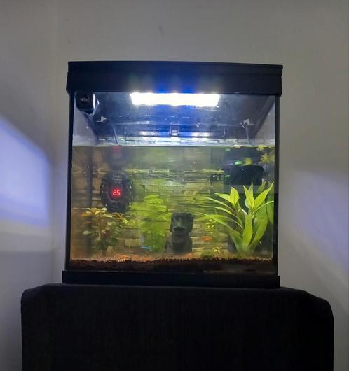 Complete aquarium met verlichting 30L, Dieren en Toebehoren, Vissen | Aquaria en Toebehoren, Zo goed als nieuw, Overige typen