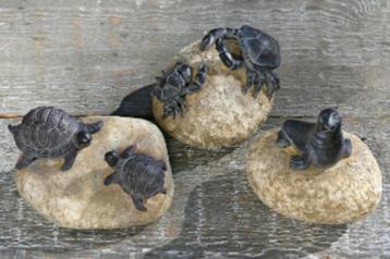 Leuk beeldje met Schildpad, Kreeft, Zeehond op steen, grijs beschikbaar voor biedingen