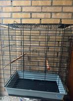 Vogelkooi, Dieren en Toebehoren, Vogels | Hokken en Kooien, Ophalen of Verzenden, Metaal, Vogelkooi