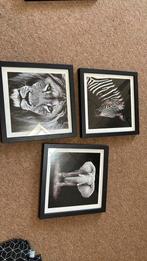 3 fotolijsten dieren, Ophalen of Verzenden, Zo goed als nieuw, Hout, Minder dan 50 cm
