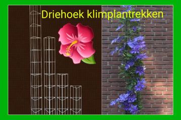 Hekwerk voor klimmende planten plantenrek klimplantrekken beschikbaar voor biedingen