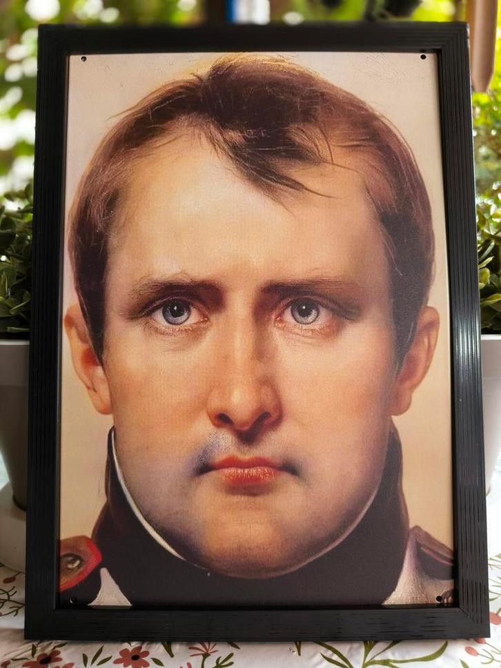 Napoleon Bonaparte..., Verzamelen, Militaria | Algemeen, Landmacht, Nederland, Ophalen of Verzenden