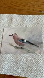 Postkaart - Vlaamse gaai, Ophalen of Verzenden, 1980 tot heden, Ongelopen, Vogel