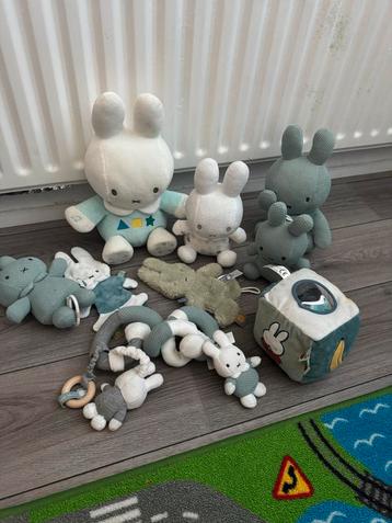 Baby Speelgoed Set - Knuffels & Meer! beschikbaar voor biedingen