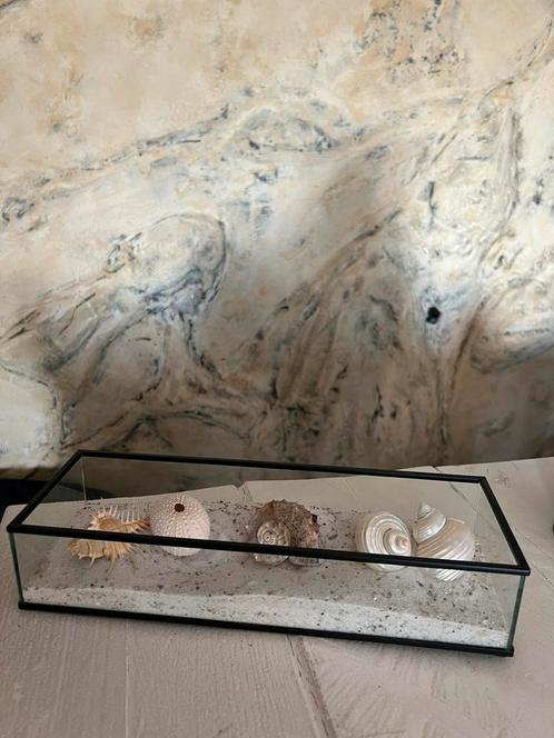 Mooi Display Gevuld Met Strandzand En Diverse Schelpen, Huis en Inrichting, Woonaccessoires | Overige, Nieuw, Ophalen of Verzenden