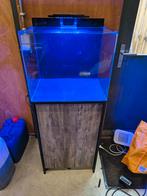 Zeeaquarium bluemarine 90 compleet, Dieren en Toebehoren, Vissen | Aquaria en Toebehoren, Ophalen