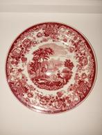 Groot oud bord Petrus Regout Amazone rood landschap, Antiek en Kunst, Antiek | Servies los, Ophalen of Verzenden