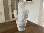 Decoratieve Cactus in Pot - Riviera Maison, Ophalen, Zo goed als nieuw