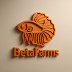 Betta-vissen te koop in een speciale aanbieding!, Vis, Zoetwatervis, Schoolvis