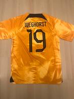 Gesigneerd shirt Wout Weghorst met videobewijs Nederland, Verzamelen, Sportartikelen en Voetbal, Ophalen of Verzenden, Nieuw, Ajax