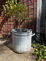 Zinken Emmer Plantenbak Vintage, Ophalen, Gebruikt, Minder dan 60 cm, Rond