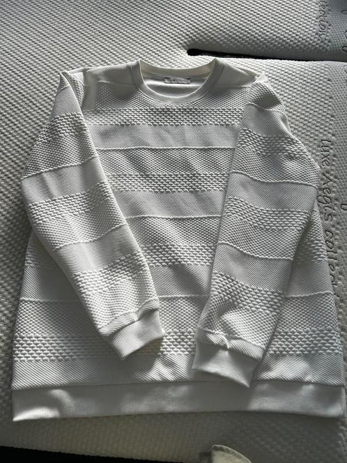 NIEUW Prachtige witte trui, Kleding | Heren, Truien en Vesten, Nieuw, Maat 56/58 (XL), Wit, Verzenden