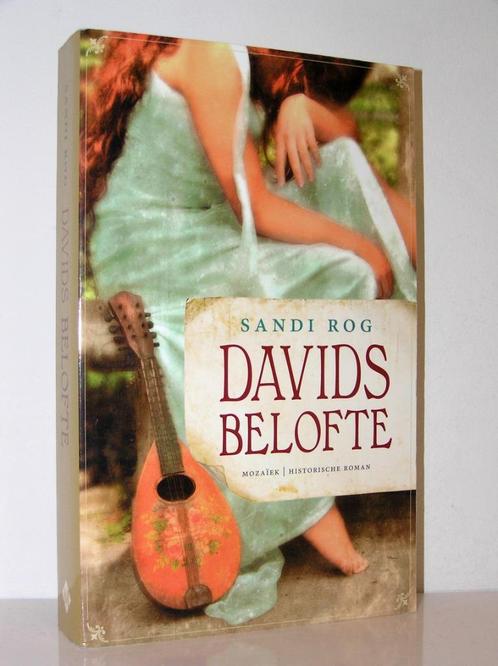 Sandi Rog - Davids belofte (christelijke historische roman), Boeken, Romans, Zo goed als nieuw, Nederland, Ophalen of Verzenden