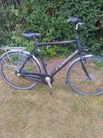 Mooie pegasus, Fietsen en Brommers, Overige merken, Gebruikt, Versnellingen, Ophalen of Verzenden